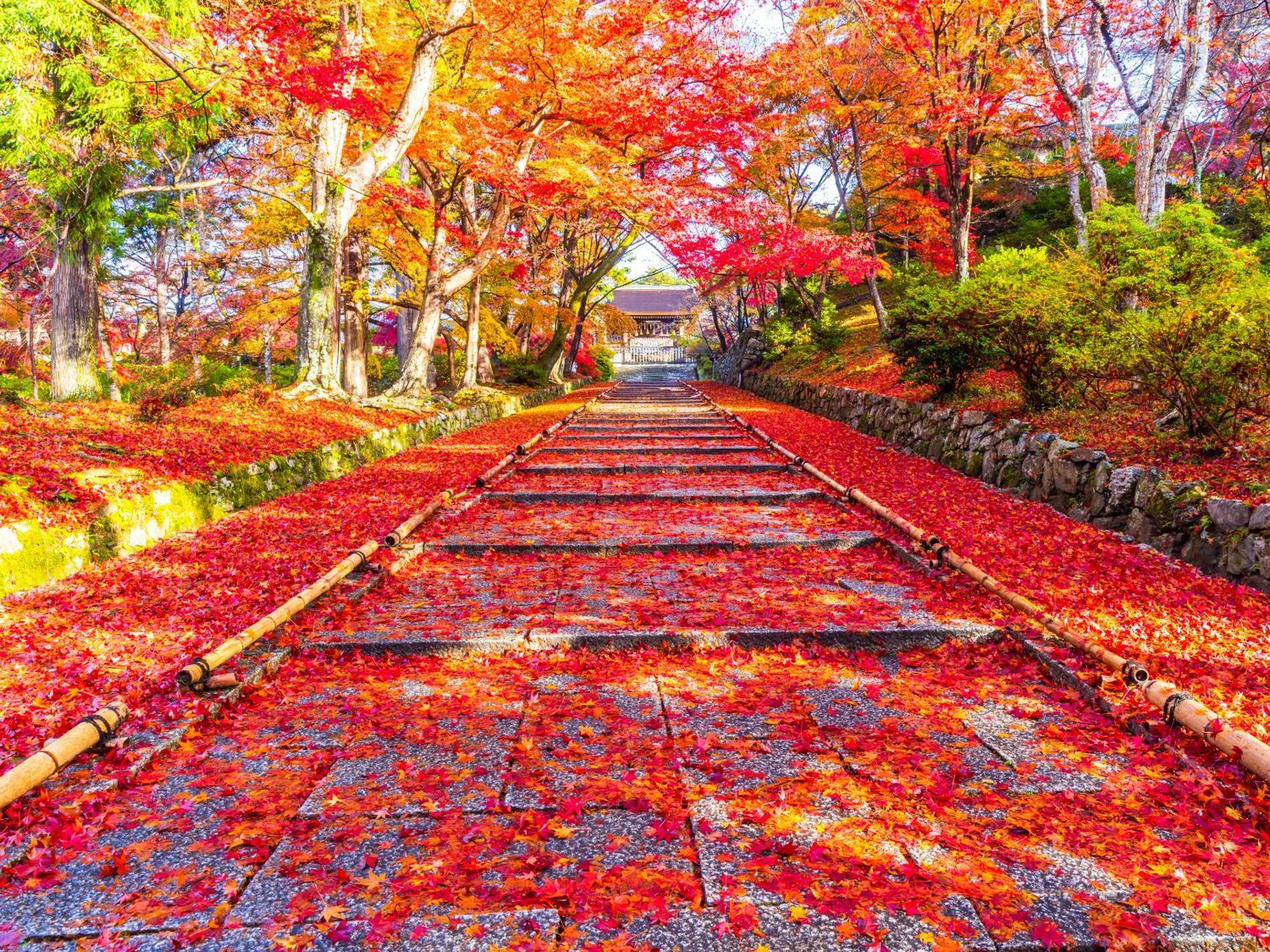 The Machiya Ebisuya Hotel Kiotó Kültér fotó