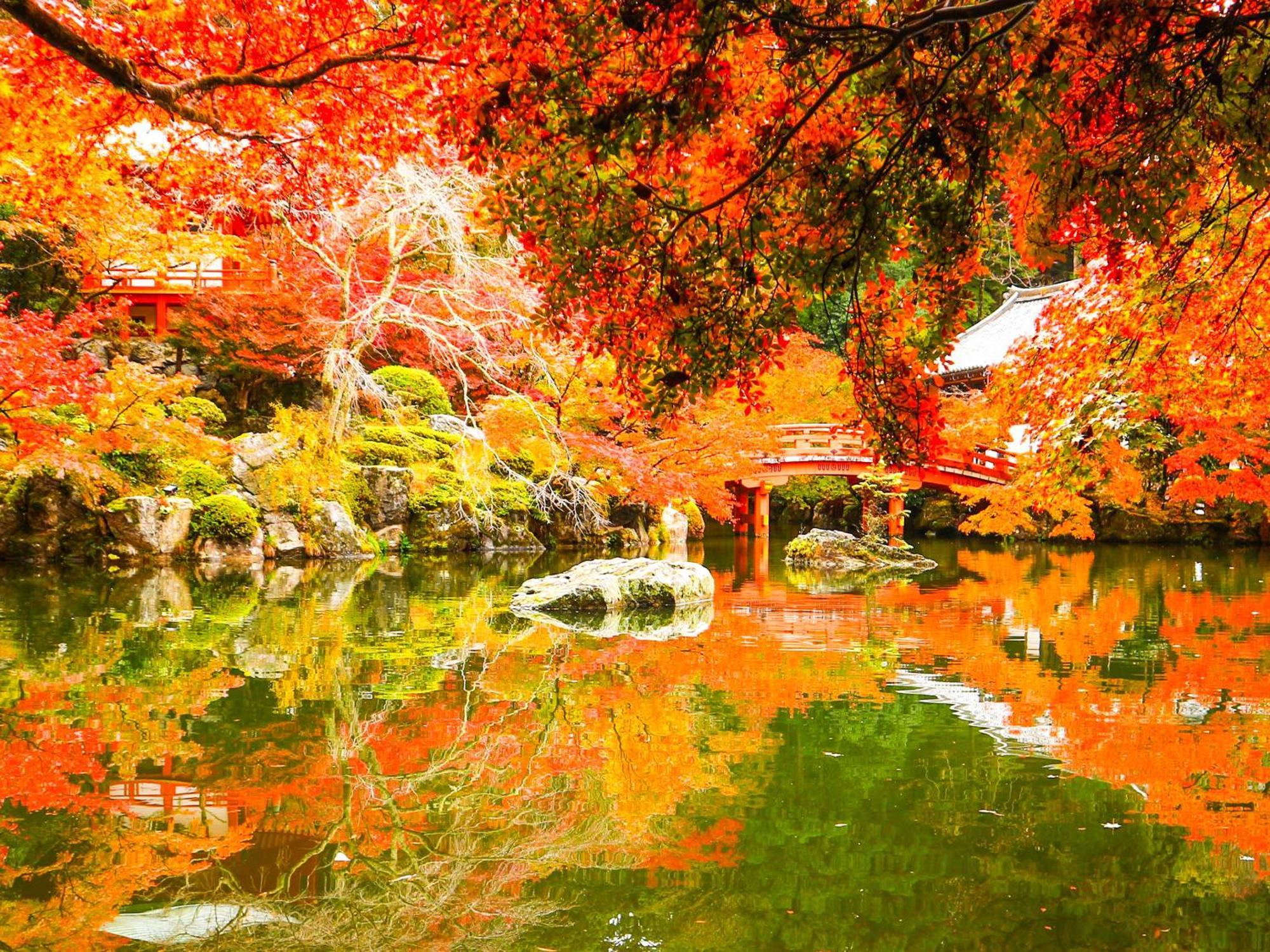 The Machiya Ebisuya Hotel Kiotó Kültér fotó